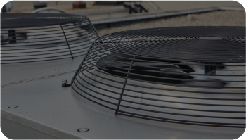 Wire Forming Services